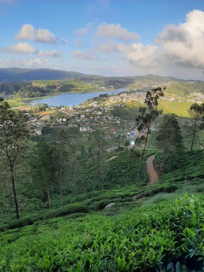 Summer Glow Guest - Nuwara Eliya Exteriör bild